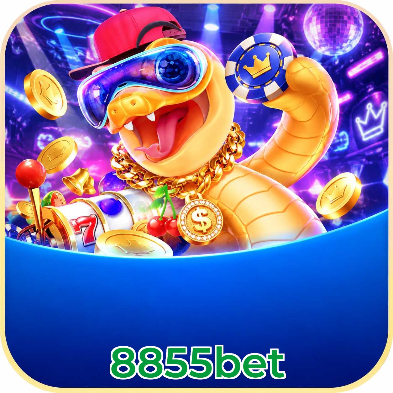 8855bet Top Wins