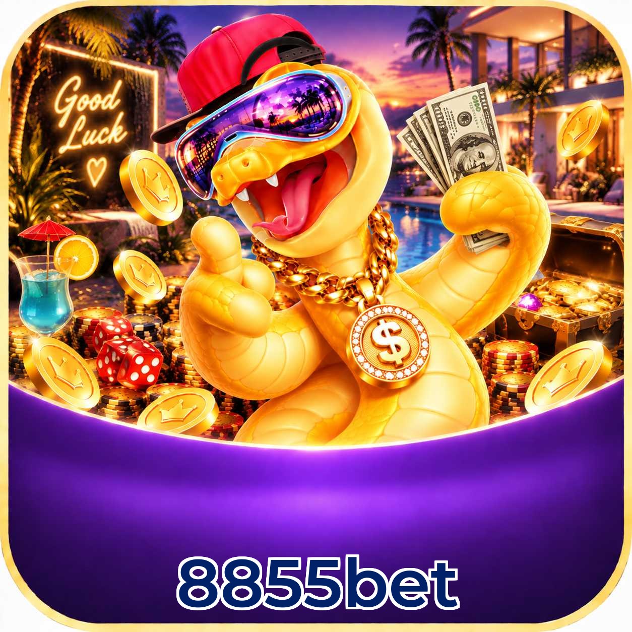 8855bet Compatibilidade
