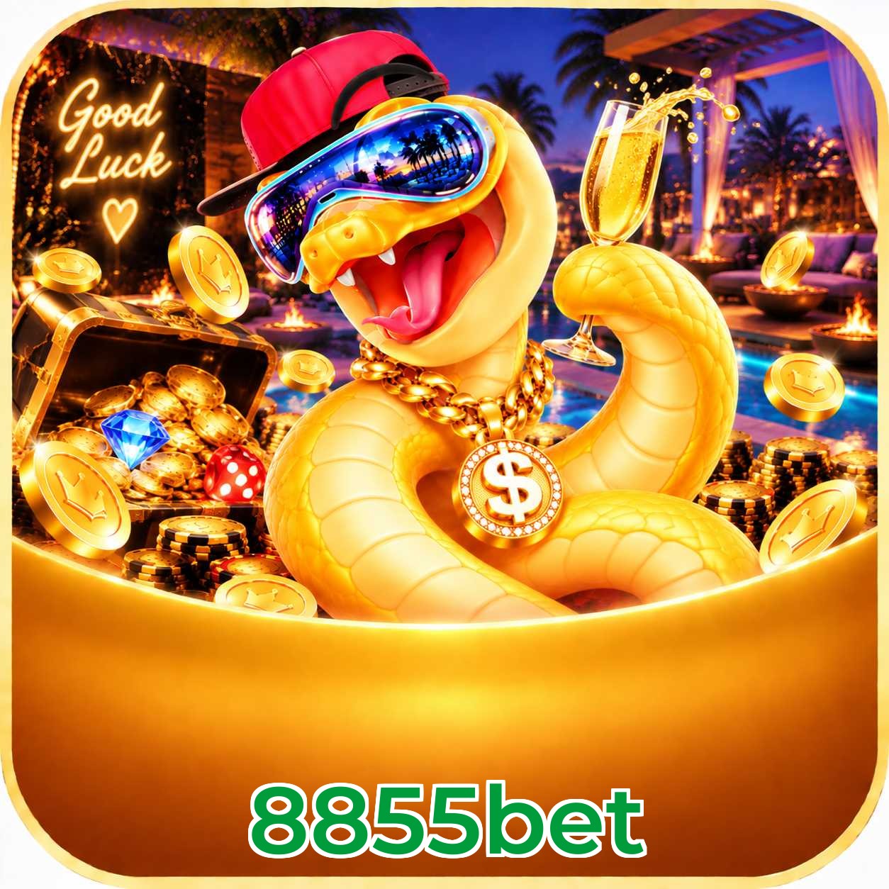 8855bet Performance